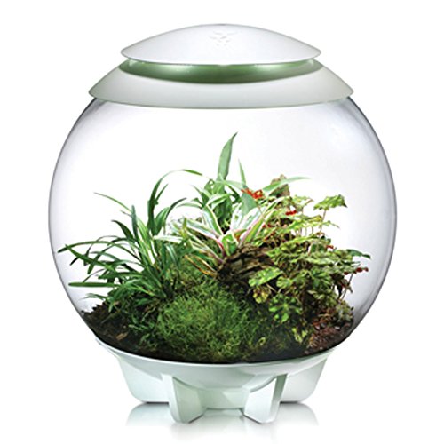 Reef One biOrb RR1801 Air Terrarium For Reptile 16-Gallon/60 Litre (White)