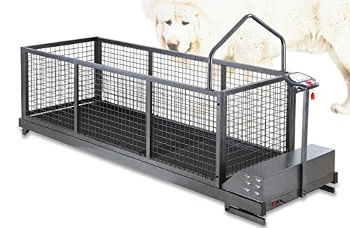 Yusheng Treadmill YS-C600SW 5pcs Big Dog Treadmill C600 Incline Series with Nets
