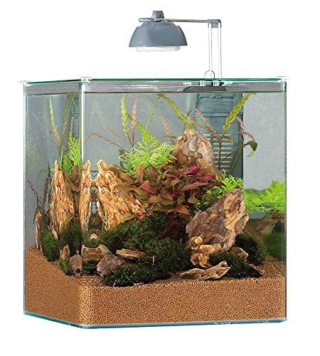 Eheim 6402370 Aqua Style Nano Fishing Tank (9GAL)