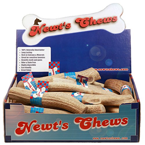 Newt's Chews Deer Antler Chew Treat pour un grand affichage pour chiens