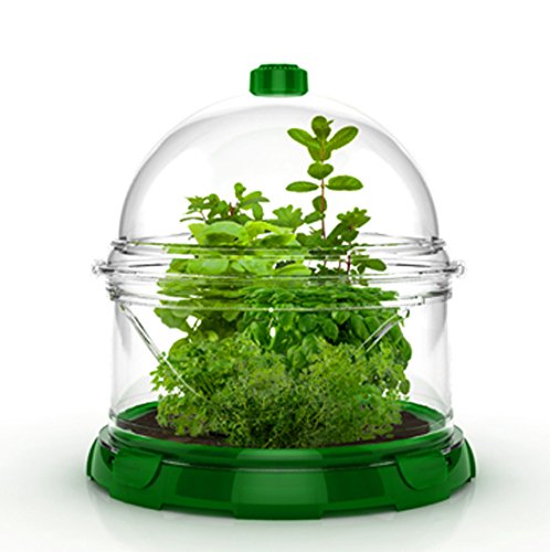Terra Small Land Animal Couleur de l'habitat modulaire: vert