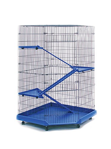 Prevue Pet Products 479 Ferret Corner Cage, Blue/Black