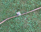 Stick Buffalo Buffalo Buffalo Stick 22inch-24inch 25CT