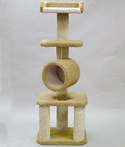 North American Pet 49543 Classy Kitty Tree avec tunnel swing 66 pouces
