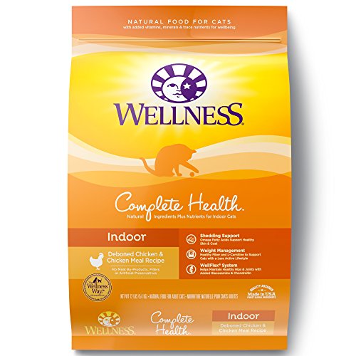 Wellness Complete Health Natural Dry Cat Food, Salmon & Turkey, 12-Pound Bag