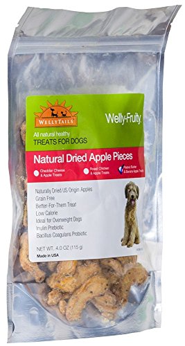 WellyTails Welly-Fruity Peanut Butter Banana and Apple Dog Treat 12x115gr