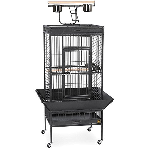 Produits pour animaux de compagnie PREVUE 3152BLK Cage de sélection en fer forgé (noir, 24x20x60in)
