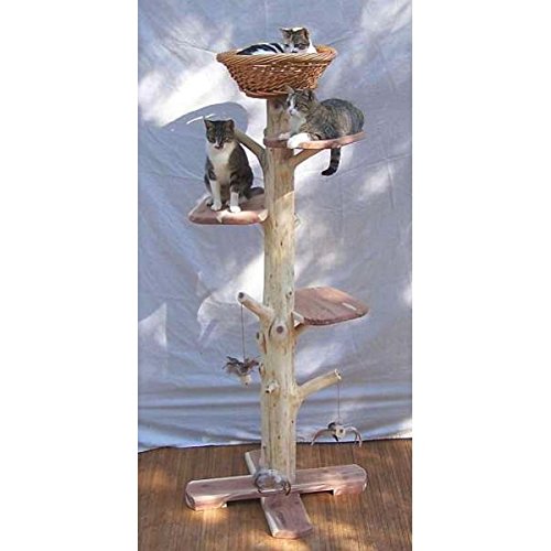 One of a Kind 5 Foot 4 Inch Cedar Cat Tree post furniture