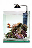 Eheim Aqua Style Nano Fishing Tank