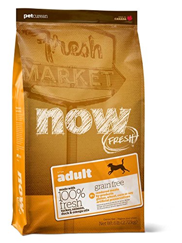 Petcurean Now Fresh Graine GRATUIT ALIFICATION DIG CHIEN