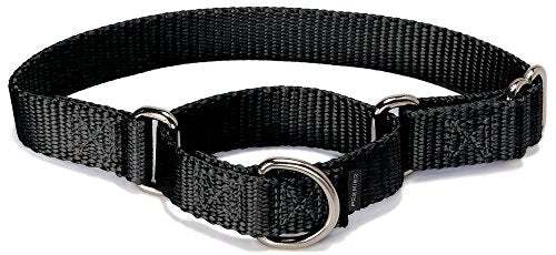 Premier Collar (Black, Medium 3/4