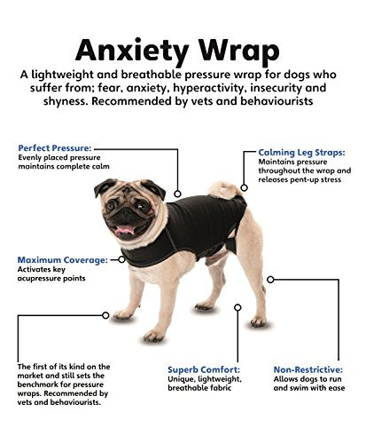 La compagnie des animaux enveloppez l'anxiété