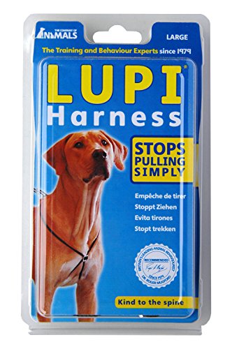 HALTI LUPI Harness Black Large