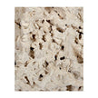 Natures Ocean AM0825 Coral Base Rocks for Aquarium 40lb