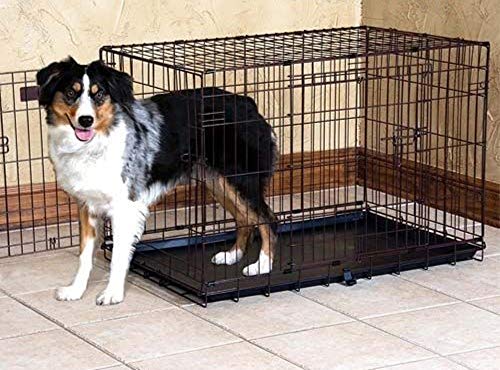 Precision Pet by Petmate 2 Door Great Crate with Precision Lock System Wire Dog Crate, 6 Sizes
