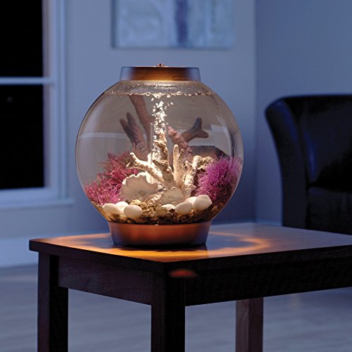 Biorb Classic 15 Aquarium avec lumière LED - 4 gallons, argent