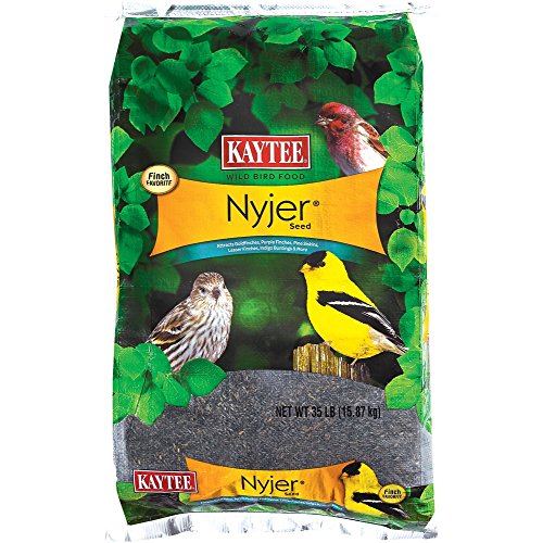 Kaytee 100501920 Nyjer Seed 35lb