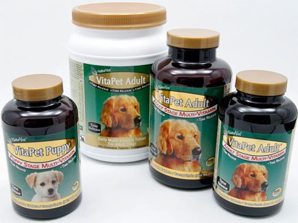 Naturvet CounterTop SeniorWellness DISPLAY 15pc