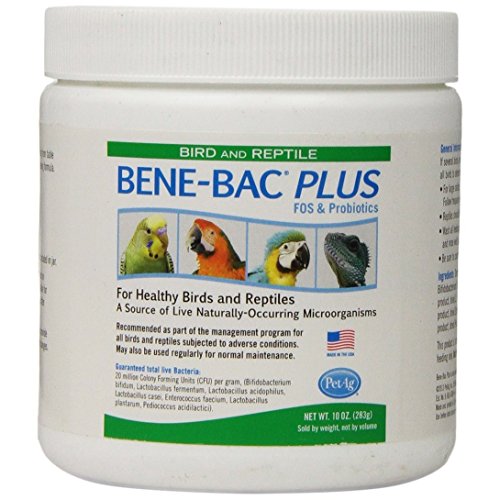 PETAGE BEOT-BAC plus oiseau et poudre de reptile