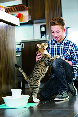 PetSafe Drinkwell Avalon Pet Water Fountain, Ceramic Drinking Fountain for Cats and Dogs, 70 oz. Water Capacity