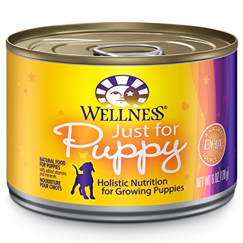 Bien-être alimentaire naturel pour animaux de compagnie complète la nourriture pour chiens en conserve humide naturelle, juste pour la recette de poulet et de saumon pour chiots, 6 onces (pack de 24)