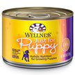 Bien-être alimentaire naturel pour animaux de compagnie complète la nourriture pour chiens en conserve humide naturelle, juste pour la recette de poulet et de saumon pour chiots, 6 onces (pack de 24)