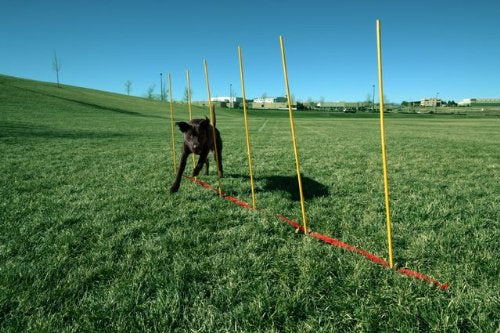 Outward Hound Kyjen  DG40105 Doggie Obstacle Course Kit with Starter Kit with Dog Tunnel Weave Pole High Jump Obstacles, Large, Red