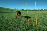 Outward Hound Kyjen  DG40105 Doggie Obstacle Course Kit with Starter Kit with Dog Tunnel Weave Pole High Jump Obstacles, Large, Red