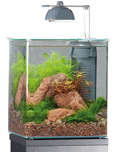 Eheim Aqua Style Nano Fishing Tank