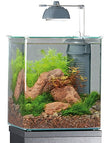 Eheim Aqua Style Nano Fishing Tank