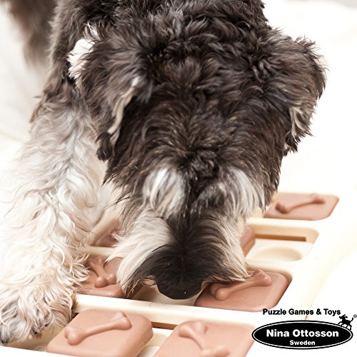 Nina Ottosson's Interactive Dog Toy