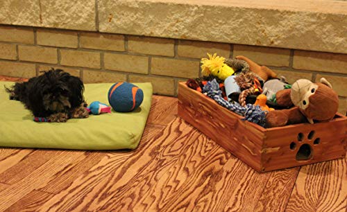 Dynamic Accents 42132 Small Pet Toy Box - Cedar