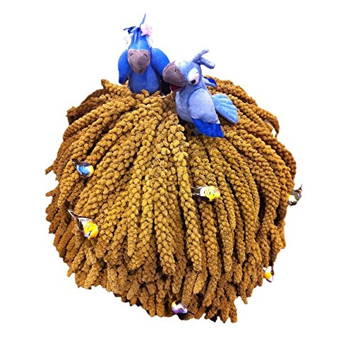 Nemeth Farms BB3623 Worlds Freshest Spray Millet 5 Lb