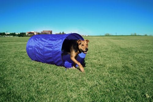 Hound Hound Kyjen DG40100 Kit de démarrage d'agilité pour chiens avec tunnel de chien tisser les obstacles à saut en hauteur, grand, rouge