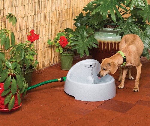 PetSafe Drinkwell Everflow Indoor/Outdoor Water Fountain