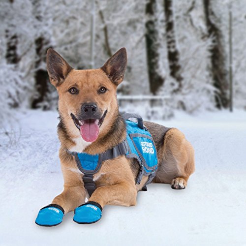 Kyjen 3071 Outward Hound ThermoVest Blue (Medium)