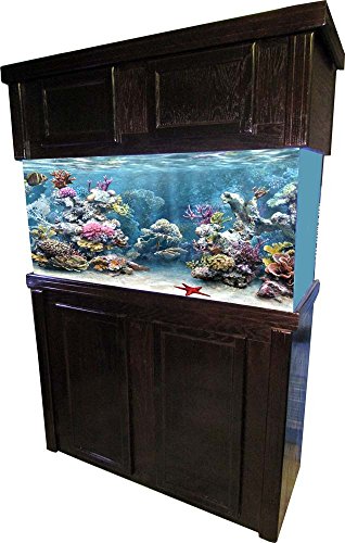 R&J ENTERPRISES 401310 OAK CABINET ESPRESSO XTREME (48X18)