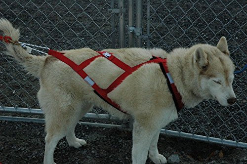 Canadog Regular X-Back Rigstop Lined Harness For Dog