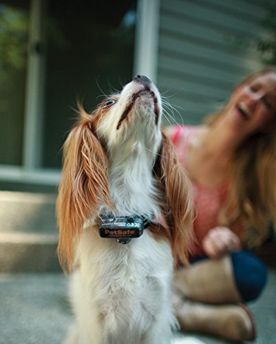 PetSafe Elite Little Dog In-Ground Fence