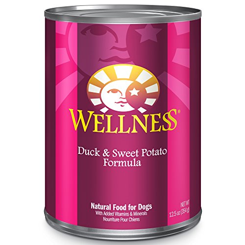 Wellness Complete Health Natural Wet Canned Senior Dog Food, Chicken & Sweet Potato, 6-Ounce Can (Pack of 24)