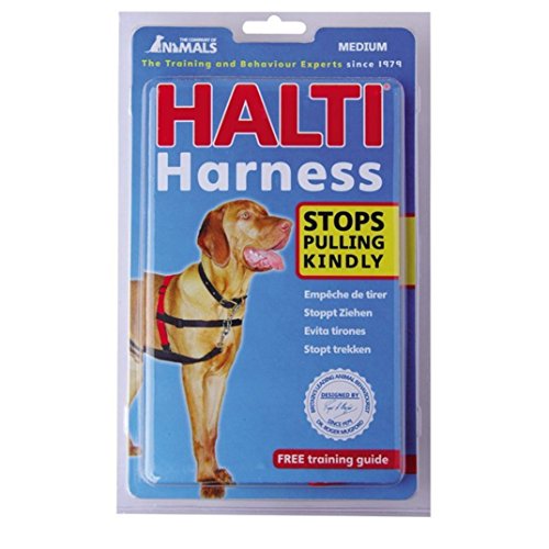 Company of Animal Halti harnais noir et rouge
