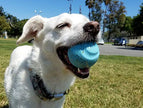 Chuckit! Fetch Medley Balls 3-Pack