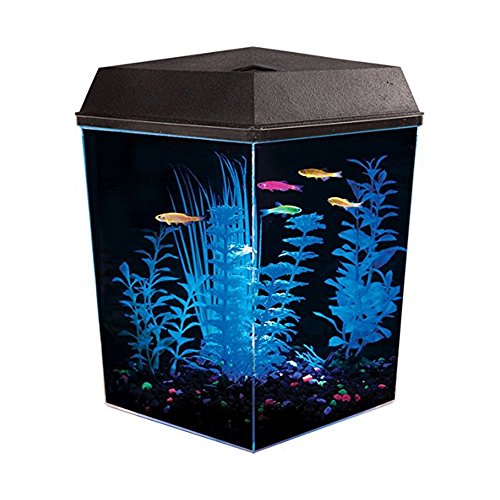 Kollercraft AA8811 Kit d'aquarium d'angle API avec éclairage LED 2,5 gallons