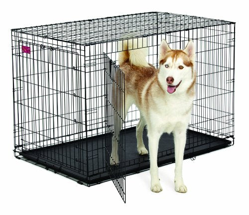 Midwest Life Stages A.C.E. Caisse de chien à une seule porte