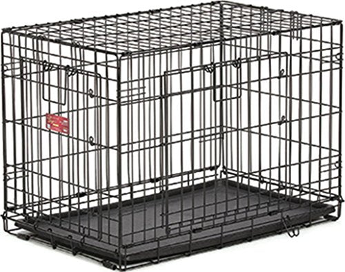 Midwest Home for Pets Life Stages Ace Double Door Dog Crate, 22-Inch