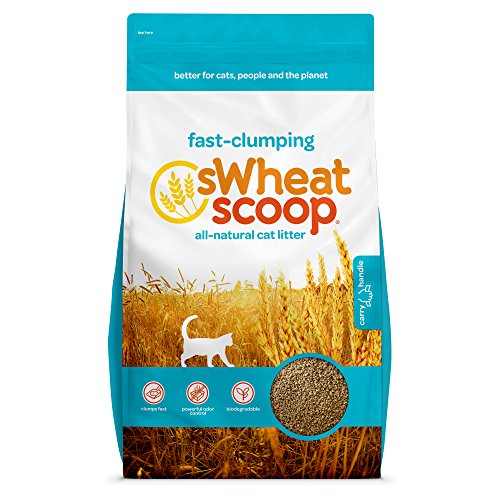 sWheat Scoop Fast-Clumping All-Natural Cat Litter, 7lb Bag