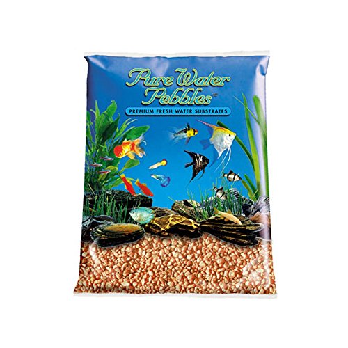 Importations mondiales AA3833 Pure Eau Pinobles Gravel aquarium 2pc (néon orange, 25lbs)