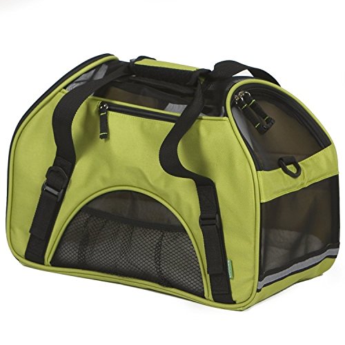 Porte-animaux de compagnie de porte-réconfort de Bergan (vert, petit)