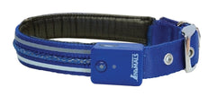 Vivid Dog Collar