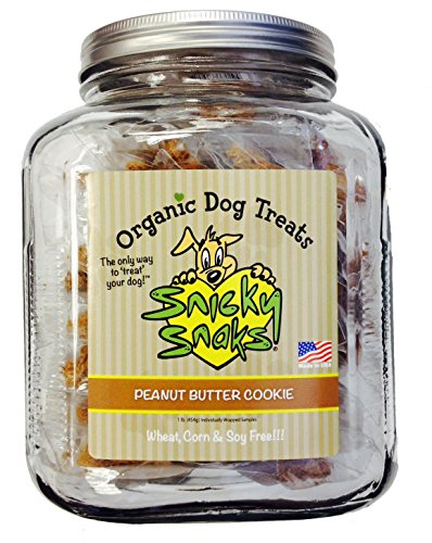 Traiter la planète snkymer snicky snaks biscuit au beurre d'arachide 16oz / pot